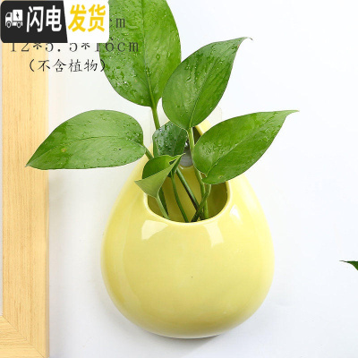 三维工匠水培墙上壁挂花盆半壁陶瓷中式创意阳台悬吊盆免打孔绿萝悬挂饰盆 YY-壁挂-中水滴(黄) 小花盆容器