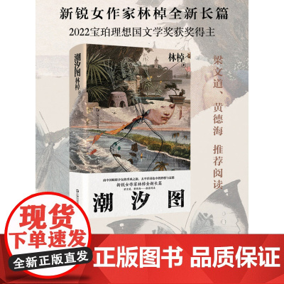 潮汐图 林棹豆瓣年度作者 2022年宝珀文学奖获奖作品 当代文学精装正版书上海文艺出版社长篇小说 另著流溪