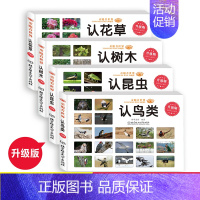 [套装4册]鸟类+昆虫+树木+花草 [正版]童眼看世界全22册汽车车标大全 认标志绘本儿童0-3-4-5-6-7-8