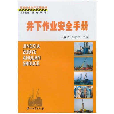 醉染图书井下作业安全手册9787502175757