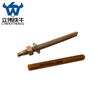 立伟铁牛化学锚栓M18×220/套