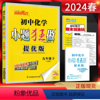 化学 九年级下 [正版]2024春恩波教育提优版初中化学九年级下册人教版RJ 初三9年级化学九下同步课时训练辅导资料练习