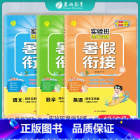 [3本套]四升五 语数英 人教版 四升五 [正版]2024新版实验班提优训练暑假衔接版语文数学英语四升五年级人教版 小学