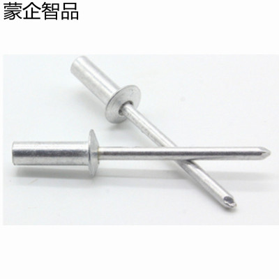 蒙企智品 封闭型扁圆头抽芯铆钉 4x20MM 个
