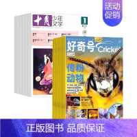 十月少年+好奇号24年8月-25年7月 [正版]十月少年文学2024年刊订阅12期8-15岁儿童期刊杂志课外阅读曹文轩主