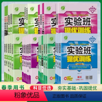 [译林版]实验班提优训练·英语 国一下 [正版]任选2023实验班提优训练 九年级上册语文数学英语物理政治历史人教版物理