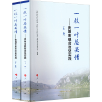 [M]一枝一叶总关情——贵阳市脱贫攻坚实践(全2册)-9787010243436