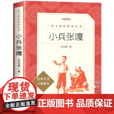 小兵张嘎 经典名著口碑版本人民文学出版社 中国儿童文学书系青少年课外读物8-9-10-12周岁四五六年级小学生课外阅读书