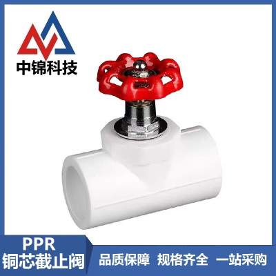 中锦科技 PPR铜芯截止阀PPR63mm(2寸) 铜芯 个