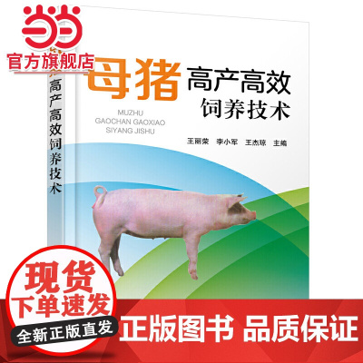 母猪高产高效饲养技术 王丽荣 化学工业出版社 正版书籍