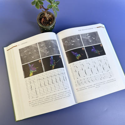 [M]心律失常电生理学 第2版 中文翻译版-9787030741752