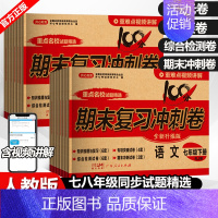 [人教版] 地理 七年级下 [正版]全套任选初中期末复习冲刺卷100分测试卷上册下册七年级八年级九数学英语物理语文政史地