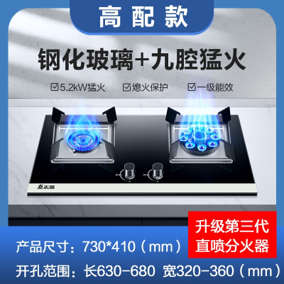 志高(CHIGO)煤气灶双灶家用燃气灶液化气嵌入式天然气灶台式猛火灶炉具_高配钢化玻璃猛火九腔_液化气