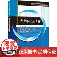 正版图书 青少年社会工作 魏爽 清华大学出版社 文法类青少年社会工作高等学校教材