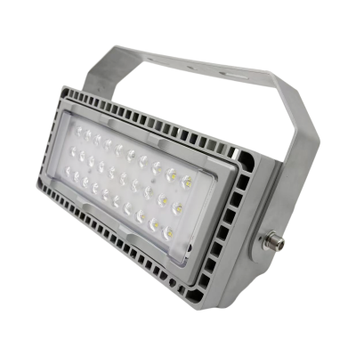 驰洛科 CLTG9280-100 220V 100W IP65 投光灯 (计价单位:个) 银灰色