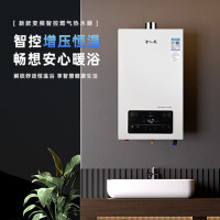 宁金龙燃气热水器 天然气精准控温 智能恒温 13升节能省气13JL01