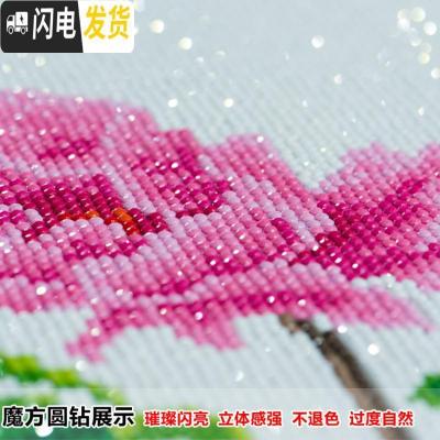 三维工匠异形钻石画2019新款5d花开富贵孔雀点贴钻十字绣客 全贴满钻[200*80厘米]魔方圆钻/异形钻/彩钻/送礼品