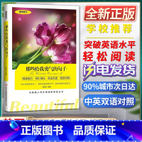 [正版]美丽英文那些给我勇气的句子阅读能力词汇强化语法巩固短语训练与美国人同步阅读的英语丛书快速突破英语水平轻松阅读