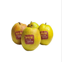 新全新香梨500克/份