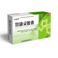 福瑞堂 胃康灵胶囊 0.4克*40粒胃炎