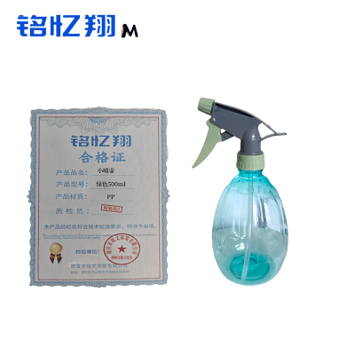 铭忆翔 小喷壶 绿色 500ml 个