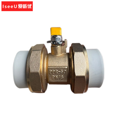 爱新优 PPR双活接铜球阀 DN50(个)