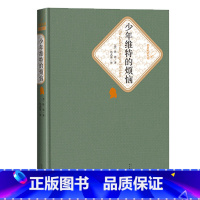 [正版]少年维特的烦恼精装版歌德著杨武能译世界十大文豪名著名译人民文学出版社