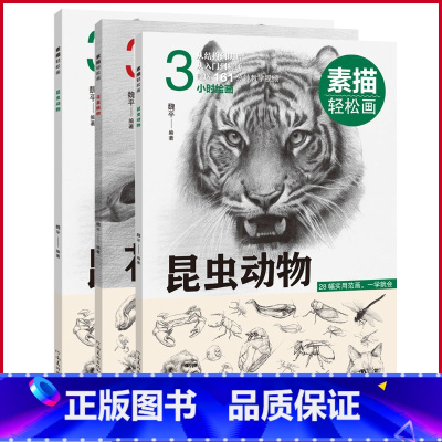 [正版]全3册 素描轻松画:生活小物+昆虫动物+花果植物 从结构到明暗,从入门到精通,自学、教学皆可用!97875
