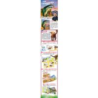 板龙为什么吃石头/恐龙博士