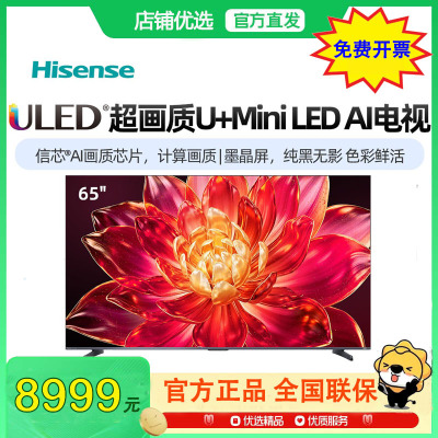 海信小墨65E5Q- Pro 65英寸超画质U+MiniLED墨晶屏 电视机E5NPRO升级款