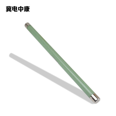 冀电中康 限流熔断器 XRNP1-20/24-2A 支