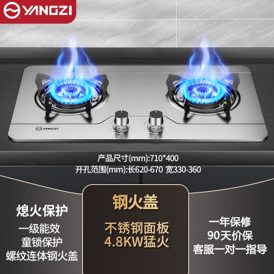 扬子燃煤气灶炉双灶家用天然气液化气猛火灶台式嵌入式 不锈钢4.8kW双文火钢火盖_天然气