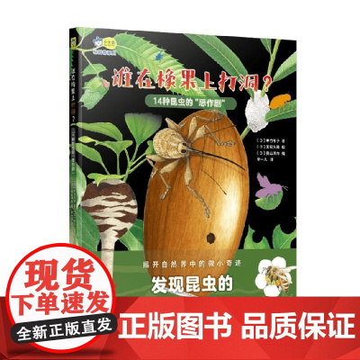 谁在橡果上打洞 14种昆虫的“恶作剧” 4-7岁 寒竹孝子 著 儿童绘本