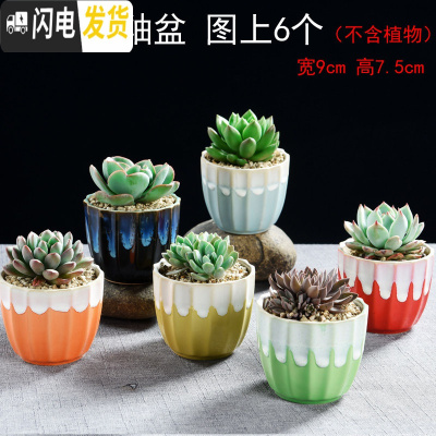 三维工匠多肉简约陶瓷绿植塑料创意紫砂复古粗陶多肉植物小花盆批发 花瓣流釉盆图上6个 小花盆容器