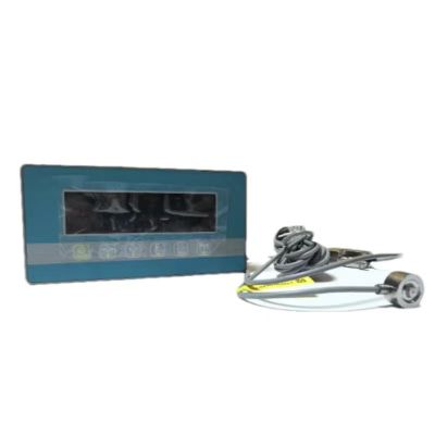 硕臻 测力称重器 0-1T 个