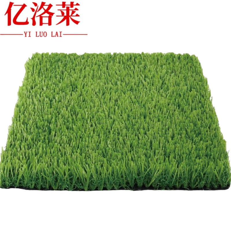 亿洛莱 草坪 100*200*3cm 张