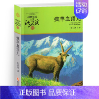 疯羊血顶儿 [正版]骆驼王子沈石溪小学四年级五年级全集全套书浙江少年儿童出版社非注音版完整版动物小说大王品藏书系小学生课