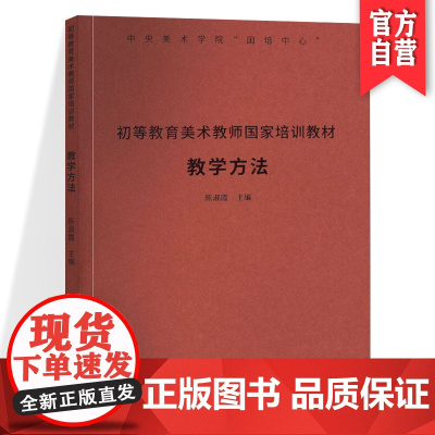 正版 初等教育美术教师国家培训教材:教学方法 陈淑霞 美术理论 艺术 湖南美术出版社店