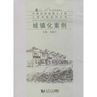 音像城镇化案例吴振兴 编