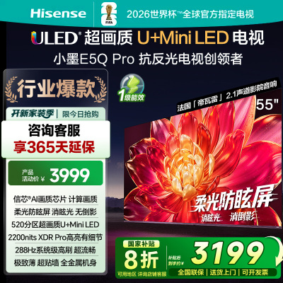 海信电视小墨E5Q Pro 55英寸 520分区U+Mini LED 信芯芯片 消眩光柔光防眩屏 288Hz高刷国家补贴