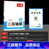 数学 七年级 [正版]2025版 七年级初中数学压轴题有理数方程初一数学必刷题上下册人教版数学专题训练解题方法数学答题