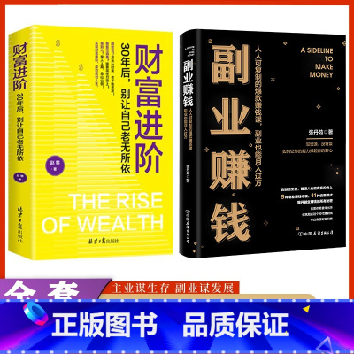 [推荐两册]副业赚钱+财富进阶 [正版]副业赚钱+财富进阶 可复制的赚钱课副业也能月入过万 教你如何利用副业赚钱 主