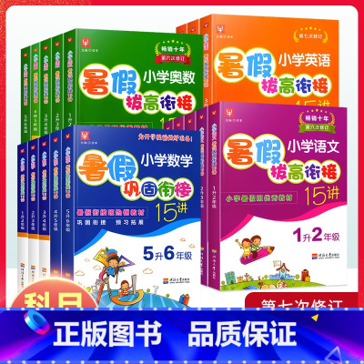 15讲暑假拔高衔接[语文+数学+英语] 三升四 [正版]暑假拔高衔接15讲小学语文数学奥数英语一升二升三升四升五升六年级