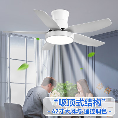 雷士照明家用餐厅客厅吊扇灯风扇吊灯简约现代电扇灯隐形风扇灯具
