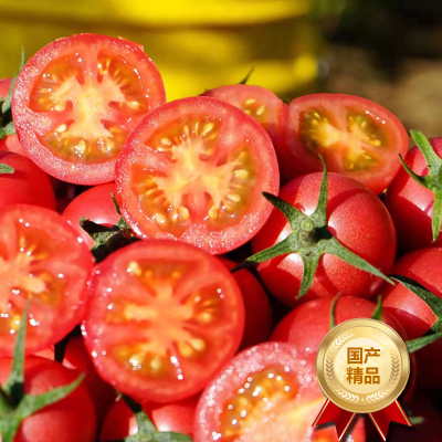 [熊猫鸟]新鲜千禧小番茄 净重4.8斤 现摘番茄水果自然熟孕妇蔬菜西红柿