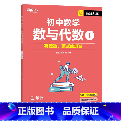 高效训练初中数学 数与代数1 七年级/初中一年级 [正版]2023版初中英语词汇词根+联想记忆法 乱序便携版 绿宝书 俞