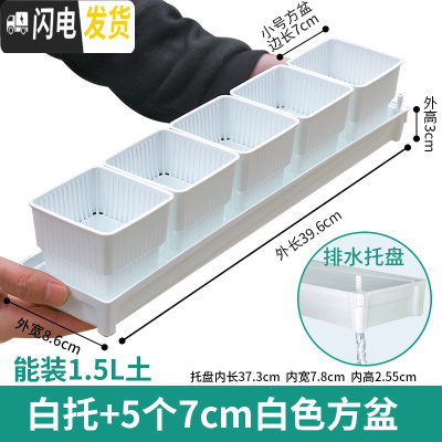 三维工匠美莳控根多肉花盆塑料套装组合创意透气肉肉控型盆器带托盘小花盆 [窄排水白托]+5个白盆(7cm盆) 小花盆容器