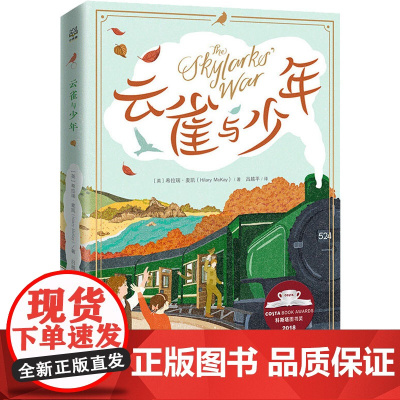 云雀与少年(英)希拉瑞·麦凯(Hilary McKay) 著 吕越平 译WX