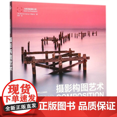摄影构图艺术 摄影构图与色彩设计基础教程近200幅 美摄影名作剖析数码单反摄影构图技法教程书籍从入门到精通新手学技巧书