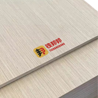 铁邦邦 耐力阻燃版 1000*1000*3mm 张